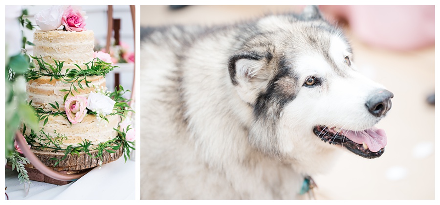  Aiden Laurette Photography | Wedding Details | Reception Details | Bride's Dog