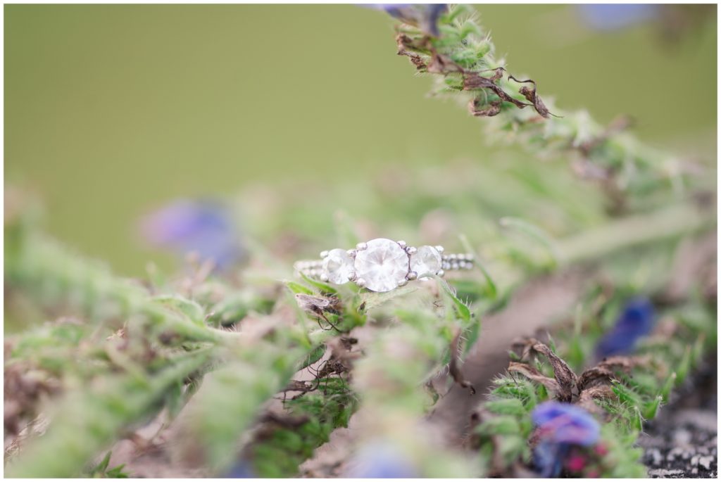 Aiden Laurette Photography | Ontario Wedding Photography | Engagement photography | Rockwood Conservation Area Couple Photoshoot | Ring Shot