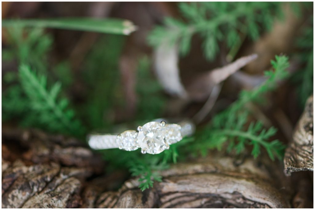 Aiden Laurette Photography | Ontario Wedding Photographer | St Mary's Engagement shoot | Couples Photos | Ring Photo
