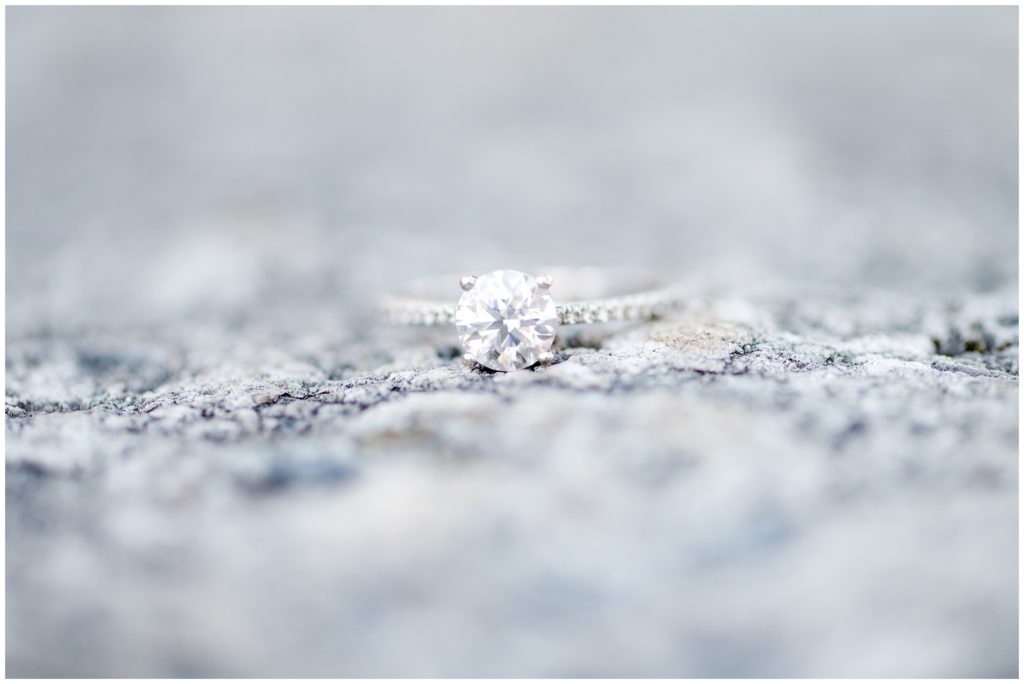 Aiden Laurette Photography | Ontario Wedding Photography | Engagement Session | Same Sex Couple engagement session portraits | Ring shot