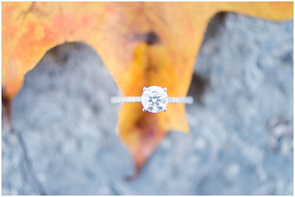 Aiden Laurette Photography | Ontario Wedding Photography | Engagement Session | Same Sex Couple engagement session portraits | Ring Shot