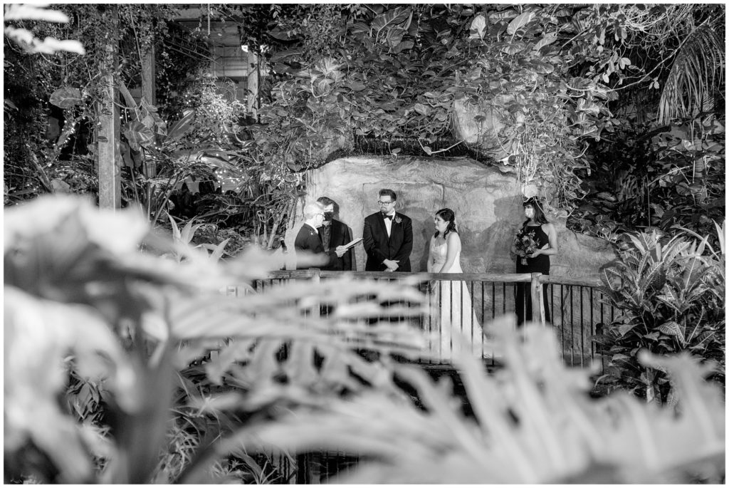 Aiden Laurette Photography | Ontario Wedding Photography | Cambridge Butterfly Conservatory | Wedding Ceremony Photos