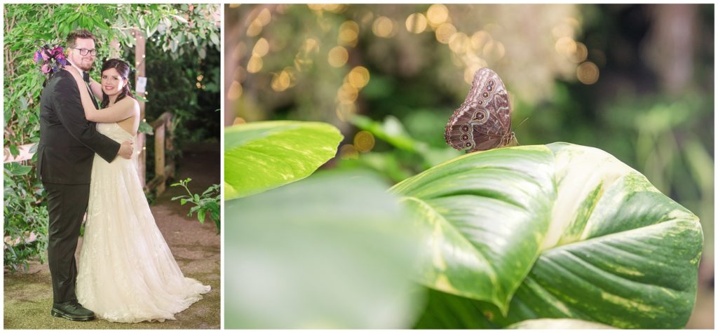 Aiden Laurette Photography | Ontario Wedding Photography | Cambridge Butterfly Conservatory | Couple's Portraits