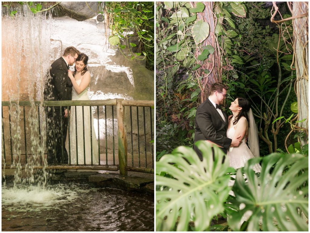 Aiden Laurette Photography | Ontario Wedding Photography | Cambridge Butterfly Conservatory | Reception Photos- couples portraits