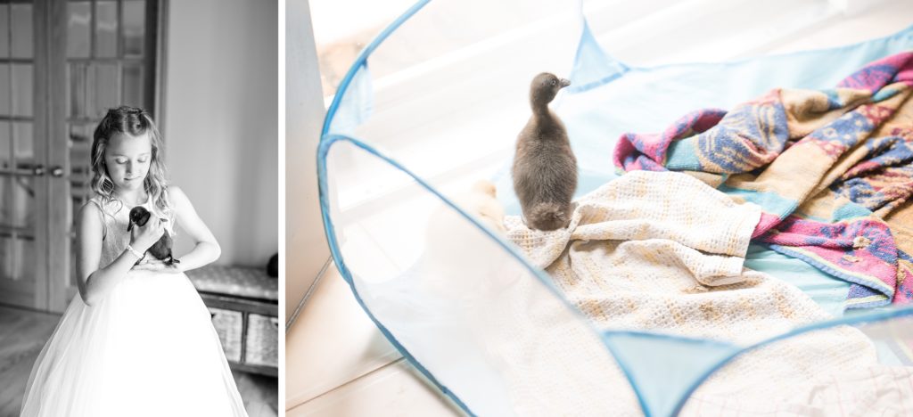aiden laurette photography | girl in white dress holding baby duck and baby duck sitting in playpen