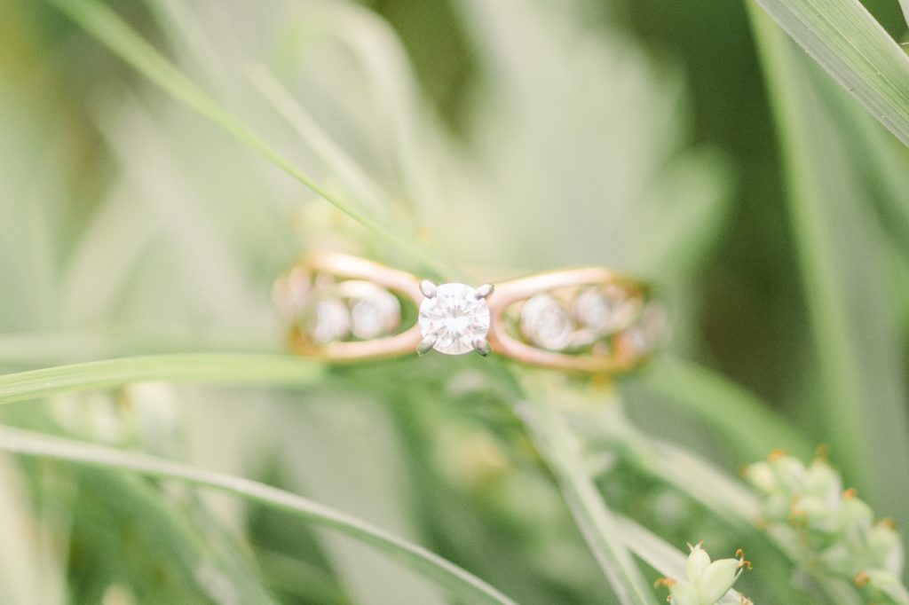 Aiden Laurette Photography | close up photo of diamond engagement ring on branch