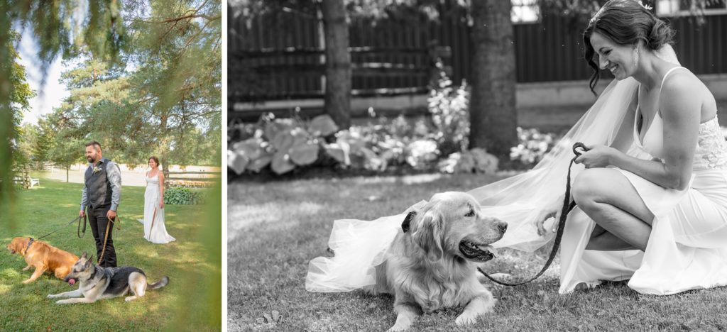 Aiden Laurette Photography | bride and groom pose with dogs