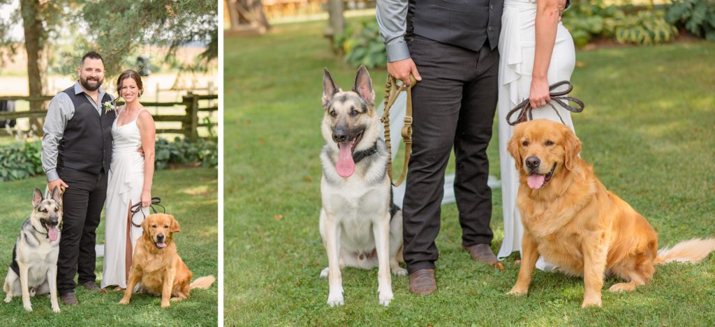 Aiden Laurette Photography | bride and groom pose with dogs