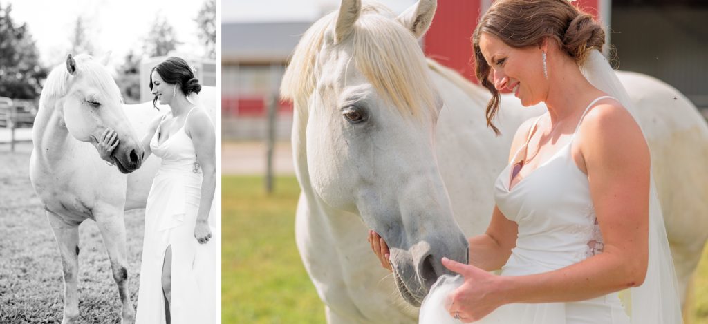 Aiden Laurette Photography | bride poses with white horse