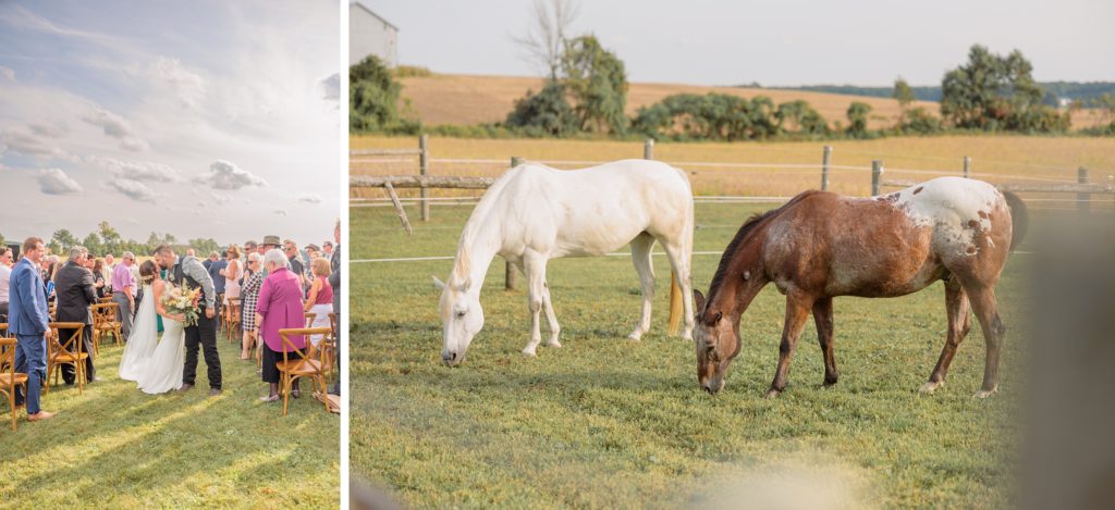 Aiden Laurette Photography | wedding ceremony; horses in field in goderich