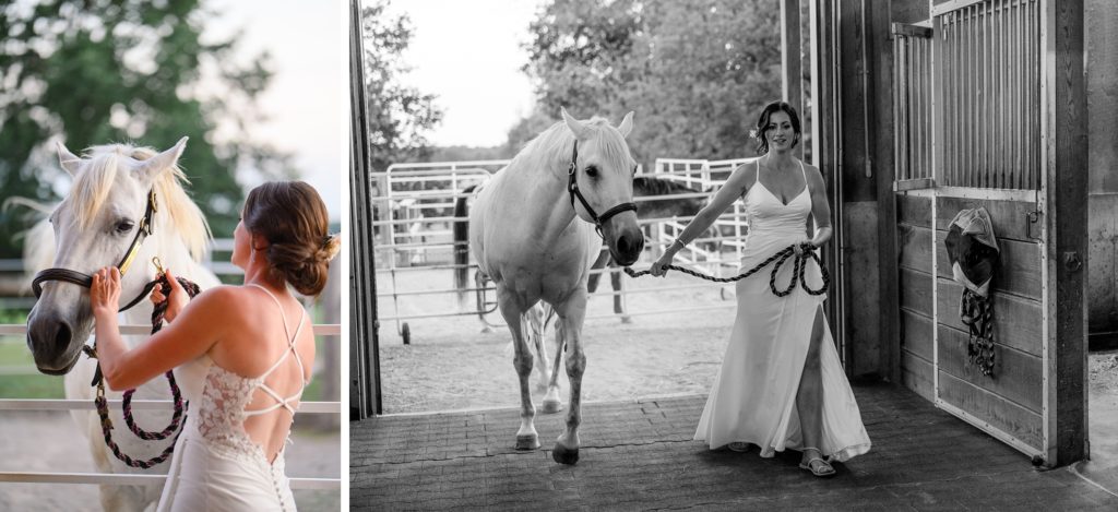 Aiden Laurette Photography | bride poses with white horse