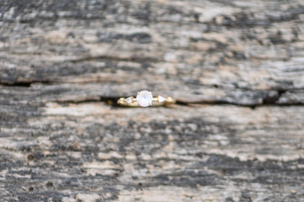 Aiden Laurette Photography | close up photos of engagement ring