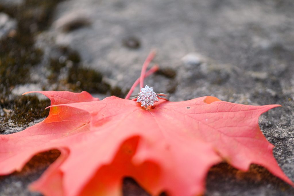 Aiden Laurette Photography | close up photo of engagement ring on red maple leaf