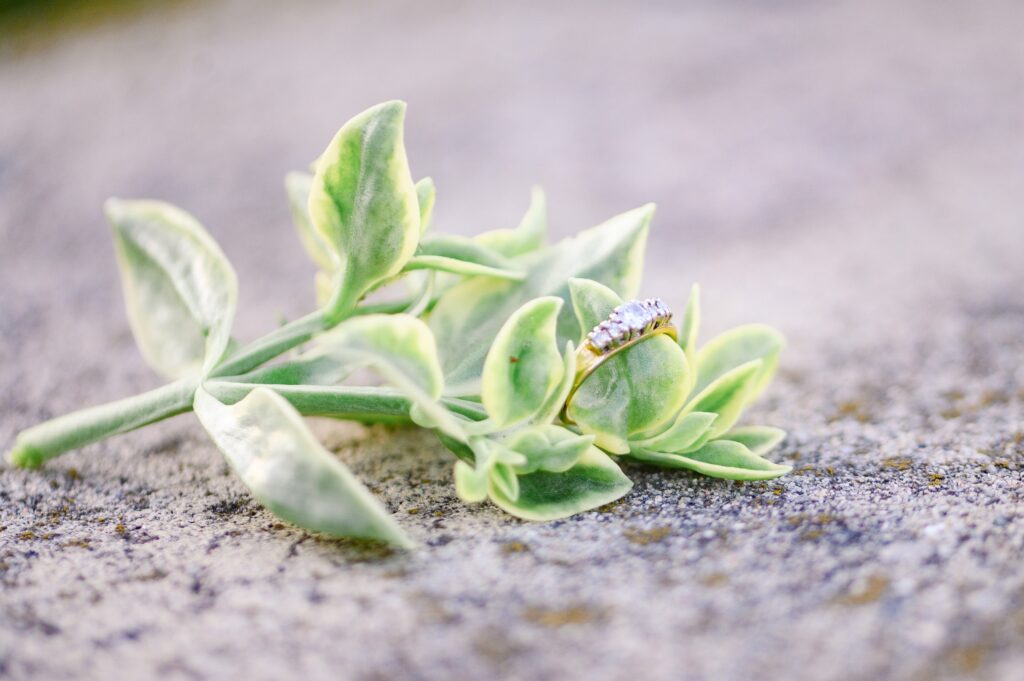 Aiden Laurette Photography | close up shot of ring