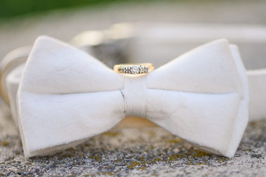 Aiden Laurette Photography | close up of rings