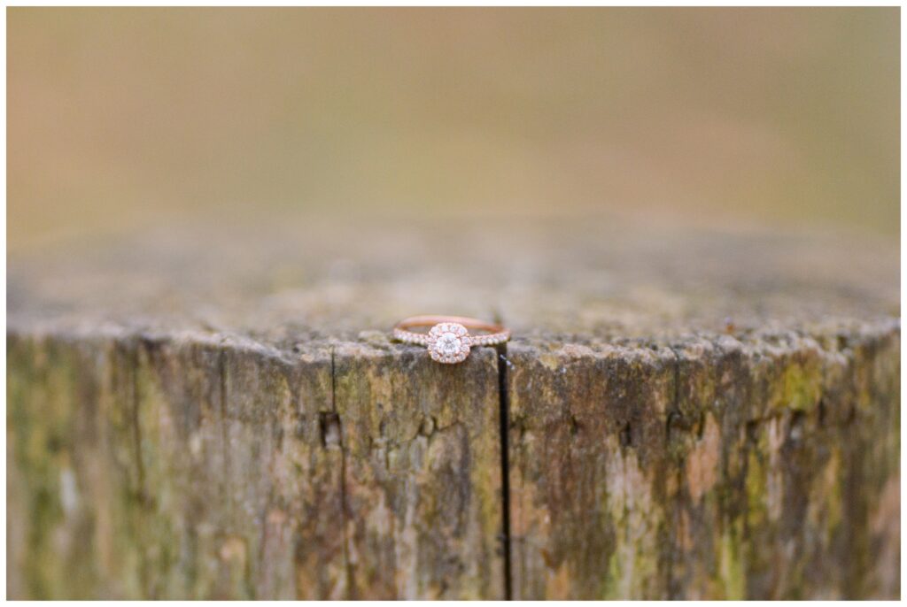Aiden Laurette Photography | close up photo of engagement ring