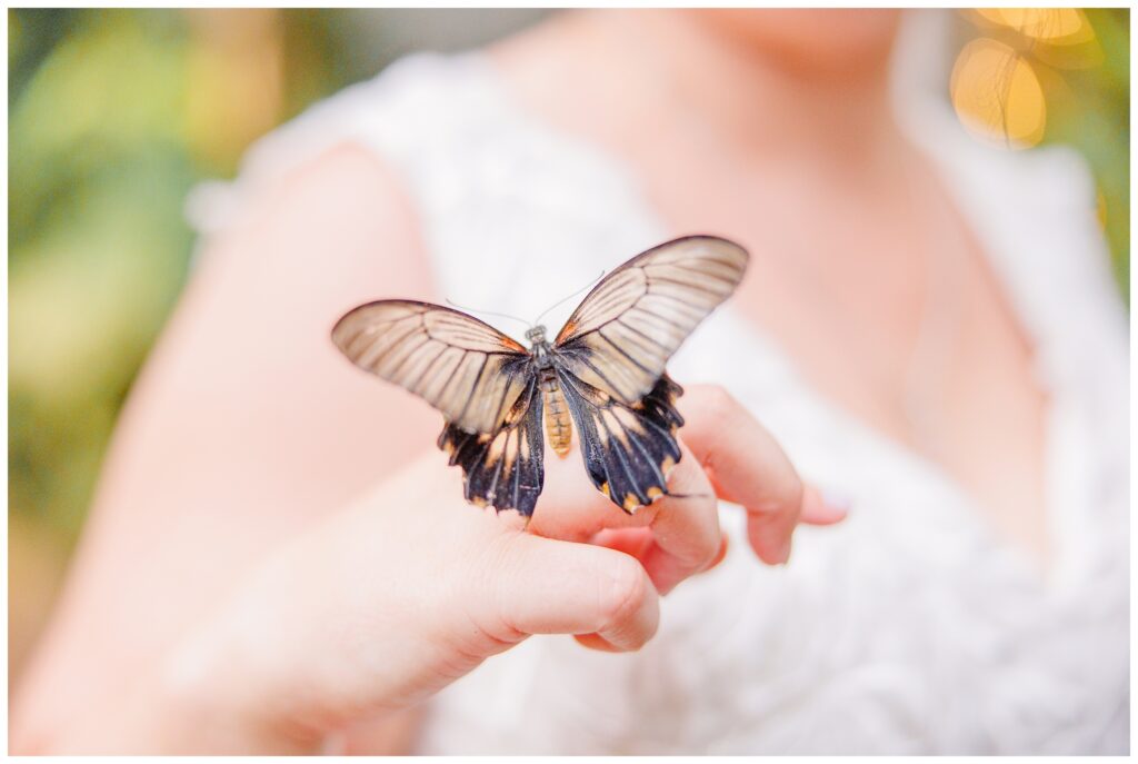 Aiden Laurette Photography | A Romantic Wedding at the Butterfly Conservatory