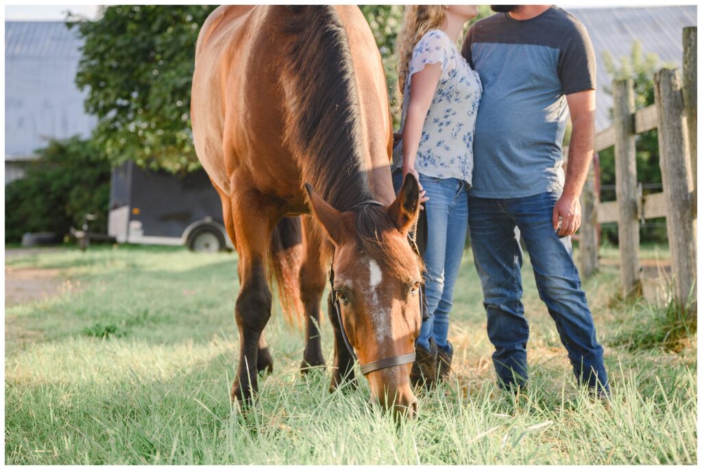 Aiden Laurette Photography | couple poses with horse