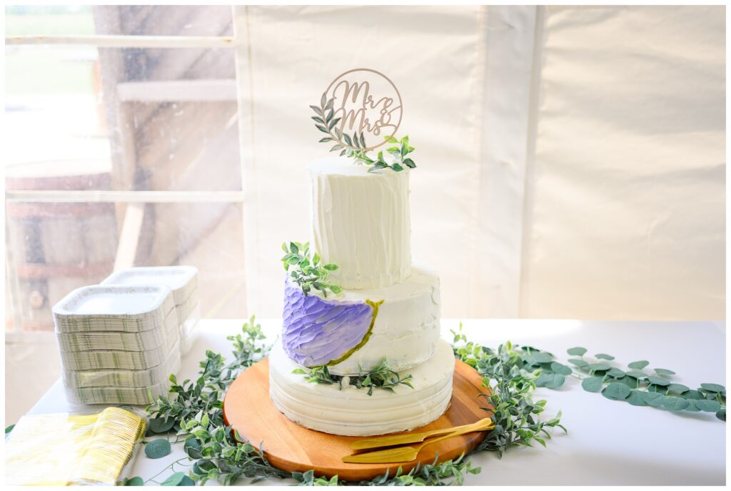 Country View Weddings | Ontario Wedding Photographer| wedding cake
